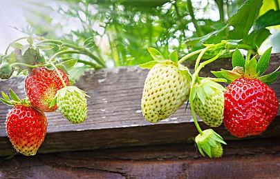 蒸汽平台鉴赏家大会收官：全程惊喜 不止于独立游戏